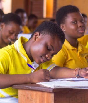 2024 School Placement Results Released: 447,698 Students Secure Automatic Admission