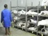 Mortuary Workers Threaten Fresh Strike Action